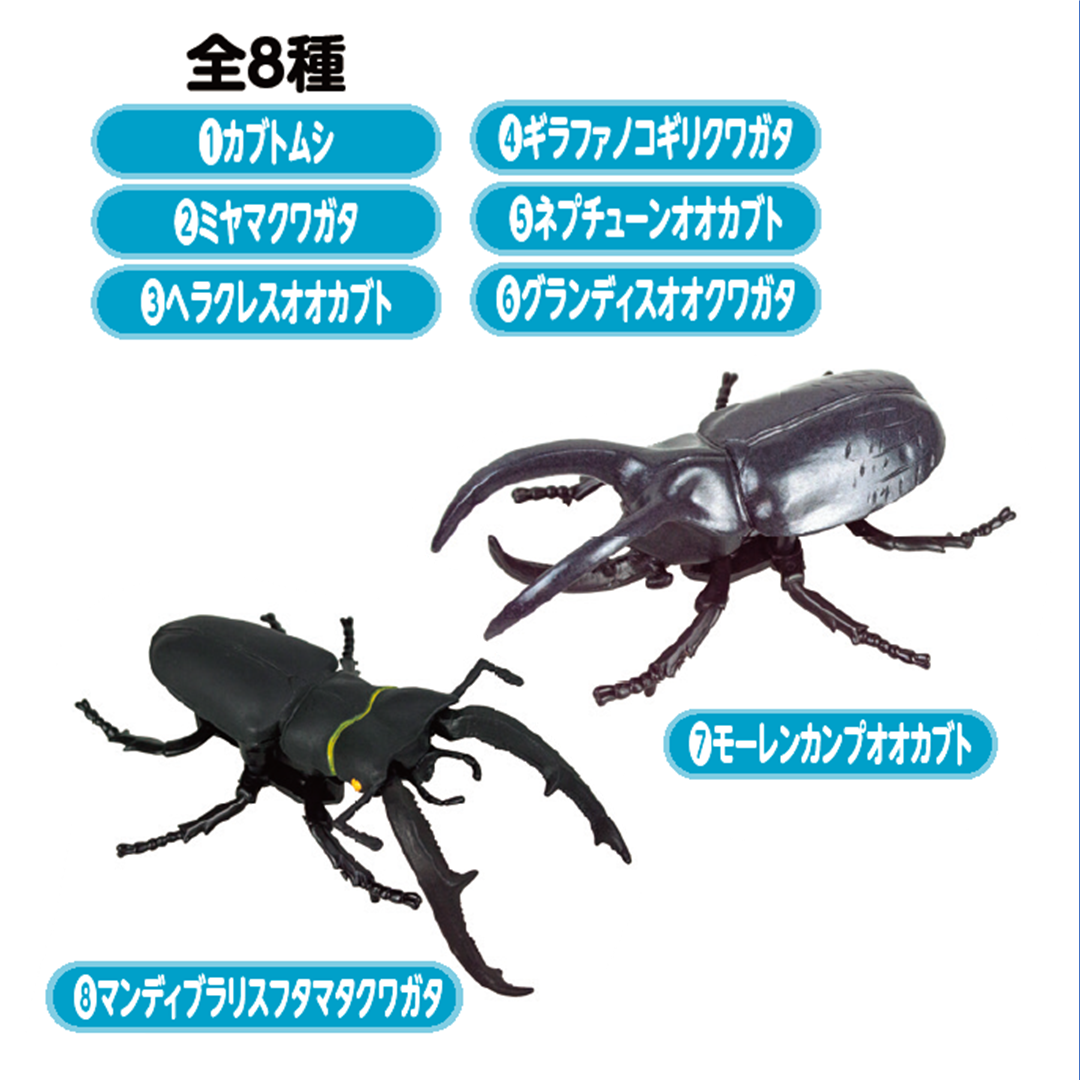 お取寄せ】昆虫ﾊﾞﾄﾙﾋﾞｰﾄﾙ | 智光法人向けオンラインショップ
